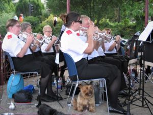 Front and Back Row Cornets at Victoria Park Bandstand